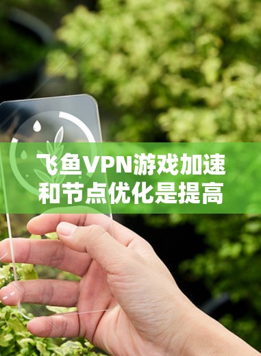 飞鱼VPN游戏加速和节点优化是提高游戏体验的重要步骤。以下是一些节点优化的步骤和建议