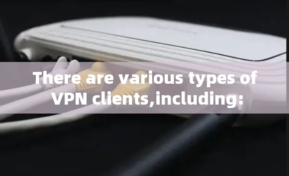 There are various types of VPN clients,including: There are various types of VPN clients,including: