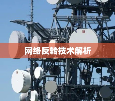 网络反转技术解析 网络反转技术解析