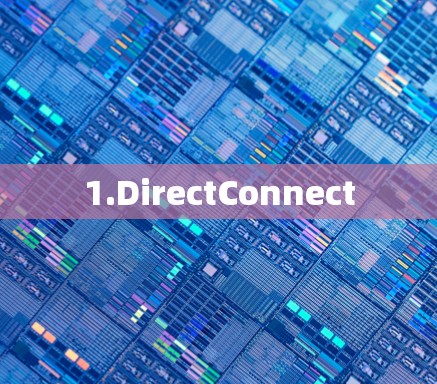 1.DirectConnect 1.DirectConnect