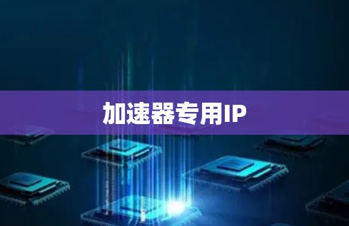 加速器专用IP 加速器专用IP
