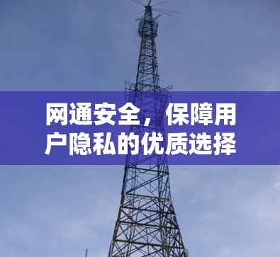 网通安全,保障用户隐私的优质选择 网通安全,保障用户隐私的优质选择