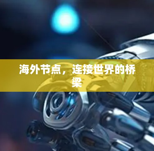 海外节点,连接世界的桥梁 海外节点,连接世界的桥梁