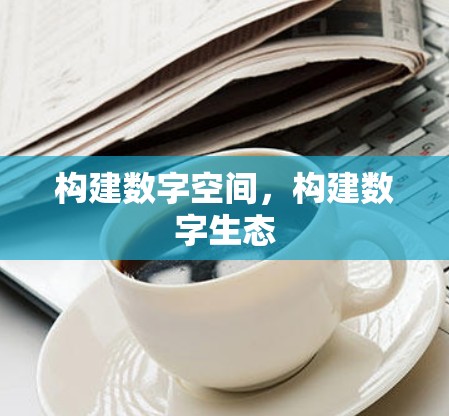 构建数字空间,构建数字生态 构建数字空间,构建数字生态