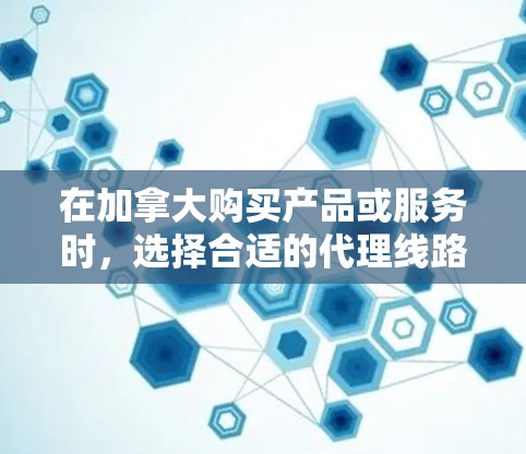 在加拿大购买产品或服务时,选择合适的代理线路是非常重要的。以下是关于加拿大代理线路的一些关键信息 在加拿大购买产品或服务时,选择合适的代理线路是非常重要的。以下是关于加拿大代理线路的一些关键信息