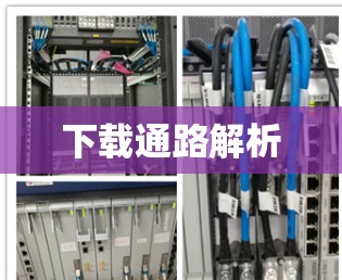 下载通路解析 下载通路解析