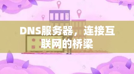 DNS服务器，连接互联网的桥梁