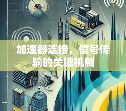 加速器连接,信号传输的关键机制 加速器连接,信号传输的关键机制