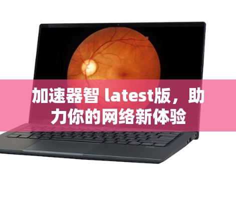 加速器智 latest版，助力你的网络新体验