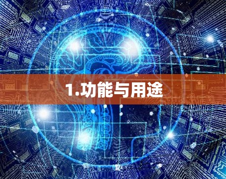 1.功能与用途 1.功能与用途