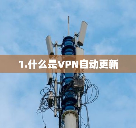 1.什么是VPN自动更新 1.什么是VPN自动更新