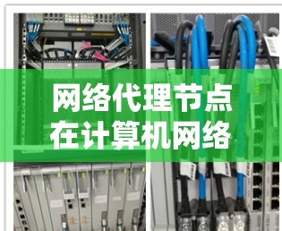 网络代理节点在计算机网络中扮演着关键角色，特别是在管理多个终端电脑和第三方服务时起着核心作用。以下是对网络代理节点的详细解释和总结