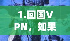 1.回国VPN,如果您指的是回国后使用VPN服务,这通常是为了保护个人隐私或在海外工作期间通过VPN获取国内资源。如果您有具体问题或需要帮助了解如何使用国内VPN服务,我将尽力提供帮助 1.回国VPN,如果您指的是回国后使用VPN服务,这通常是为了保护个人隐私或在海外工作期间通过VPN获取国内资源。如果您有具体问题或需要帮助了解如何使用国内VPN服务,我将尽力提供帮助