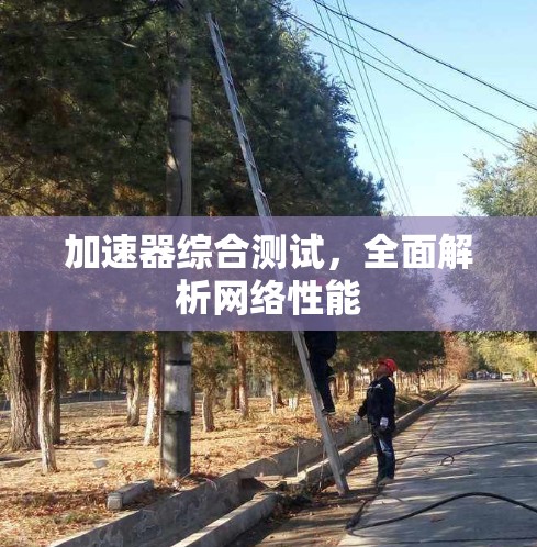 加速器综合测试，全面解析网络性能