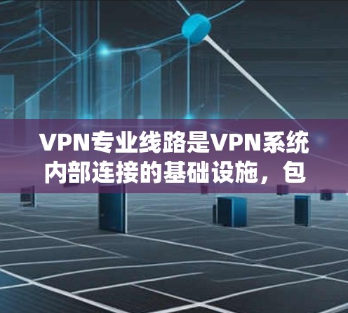 VPN专业线路是VPN系统内部连接的基础设施,包括物理连接、网络层和数据包层的连接方式。专业线路的稳定性和可靠性直接影响到VPN的使用体验。以下是对VPN专业线路的详细说明 VPN专业线路是VPN系统内部连接的基础设施,包括物理连接、网络层和数据包层的连接方式。专业线路的稳定性和可靠性直接影响到VPN的使用体验。以下是对VPN专业线路的详细说明