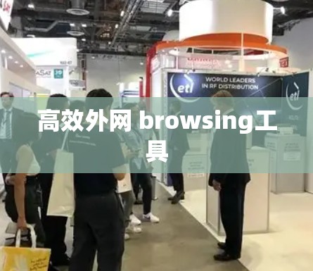 高效外网 browsing工具 高效外网 browsing工具