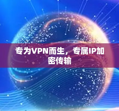 专为VPN而生,专属IP加密传输 专为VPN而生,专属IP加密传输