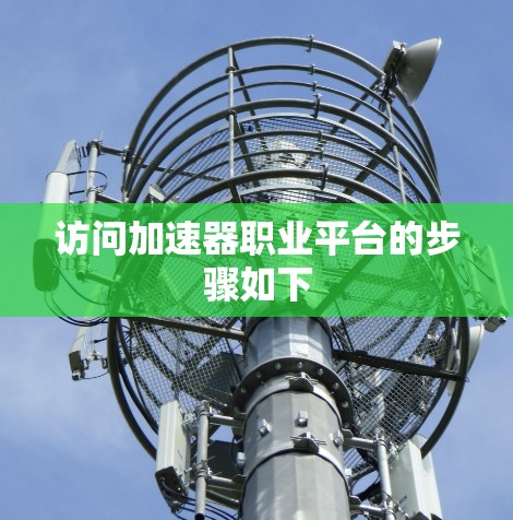 访问加速器职业平台的步骤如下