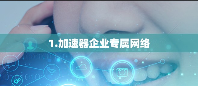 1.加速器企业专属网络