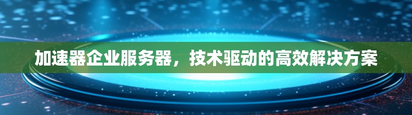 加速器企业服务器，技术驱动的高效解决方案